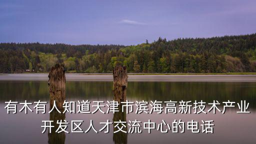 有木有人知道天津市濱海高新技術(shù)產(chǎn)業(yè)開(kāi)發(fā)區(qū)人才交流中心的電話(huà)