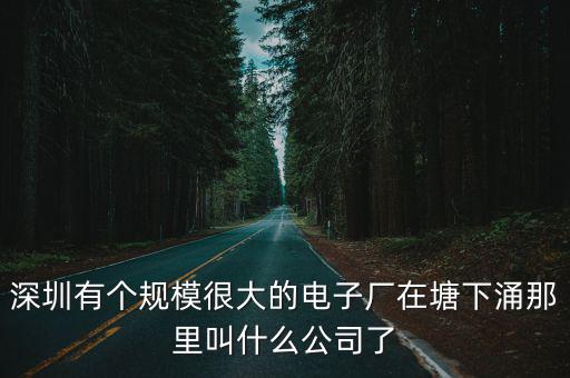 深圳有個規模很大的電子廠在塘下涌那里叫什么公司了