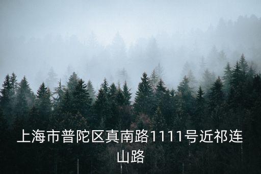 上海市普陀區技術質量監督，上海市普陀區真南路822弄521支弄75號