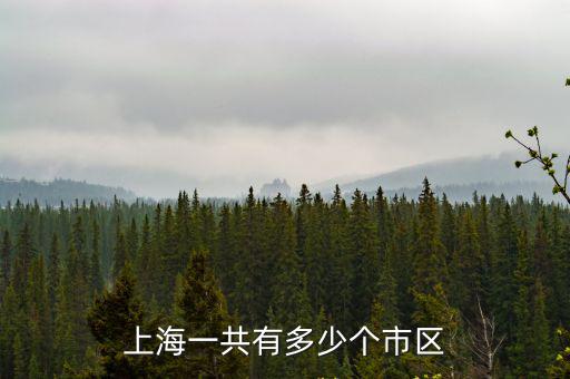 上海一共有多少個市區