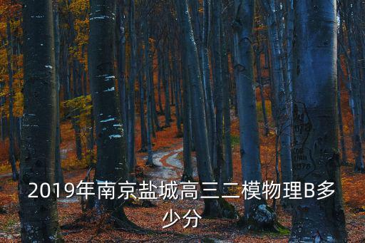 2019年南京鹽城高三二模物理B多少分