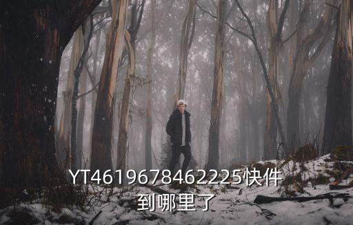YT4619678462225快件到哪里了
