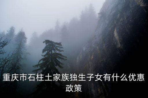 重慶市石柱縣扶貧政策，重慶有哪些重點扶貧區縣