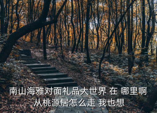 南山海雅對面禮品大世界 在 哪里啊 從桃源居怎么走 我也想