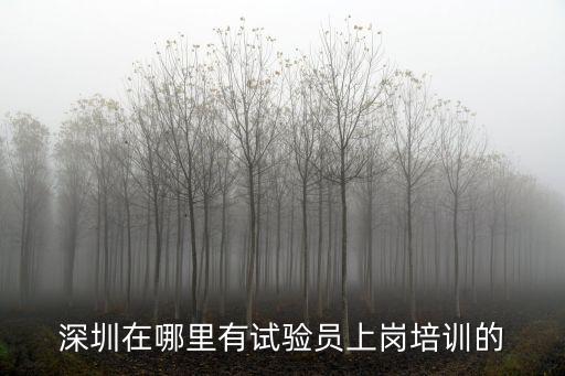 深圳cisa培訓，深圳在哪里有試驗員上崗培訓的