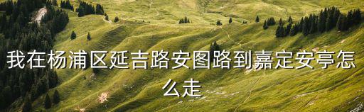 我在楊浦區(qū)延吉路安圖路到嘉定安亭怎么走