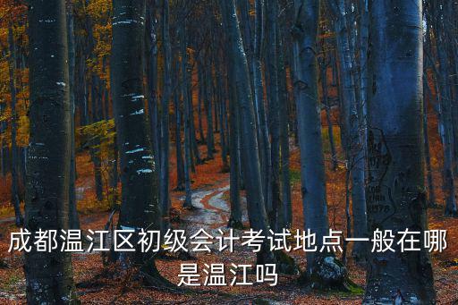 成都溫江區初級會計考試地點一般在哪是溫江嗎