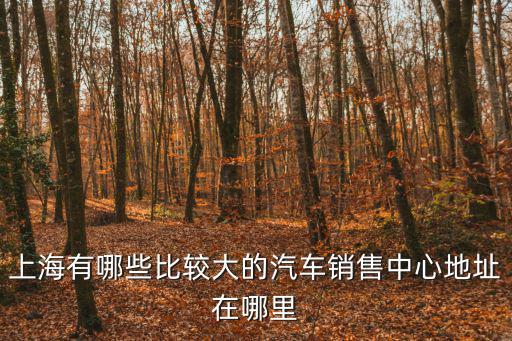 上海有哪些比較大的汽車銷售中心地址在哪里