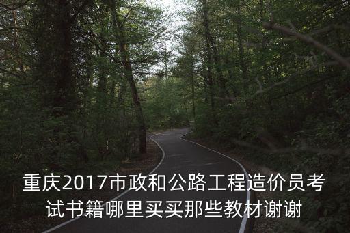 重慶市政道路題，重慶市政道路雨污水管網人工安裝多少錢每米