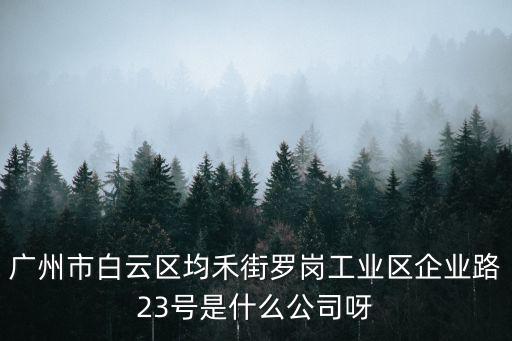 廣州市白云區均禾街羅崗工業區企業路23號是什么公司呀