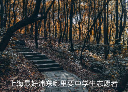 上海最好浦東哪里要中學(xué)生志愿者