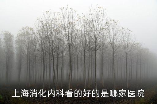 上海消化內科看的好的是哪家醫院
