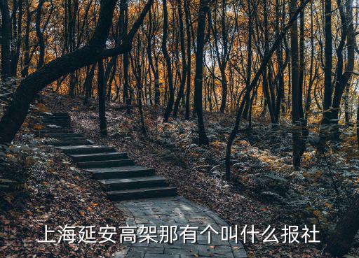 上海延安高架那有個叫什么報社