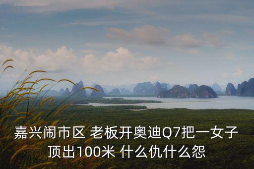 嘉興鬧市區 老板開奧迪Q7把一女子頂出100米 什么仇什么怨