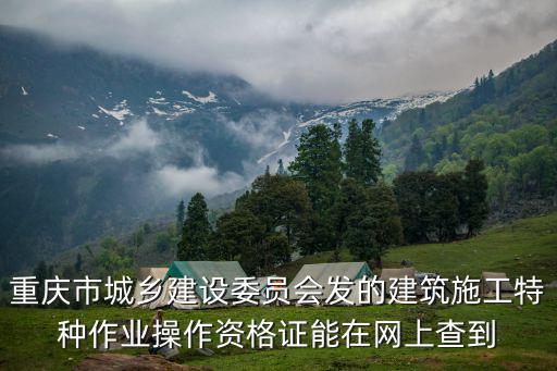 重慶市城鄉(xiāng)建設委員會發(fā)的建筑施工特種作業(yè)操作資格證能在網(wǎng)上查到
