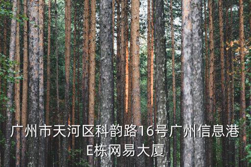 廣州市天河區科韻路16號廣州信息港E棟網易大廈