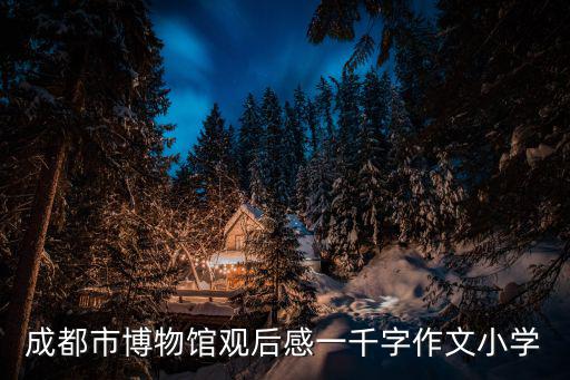 成都市博物館觀后感一千字作文小學