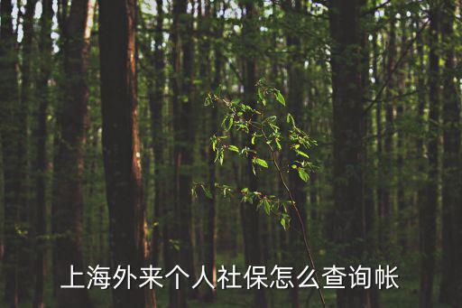 上海外來個人社保怎么查詢帳