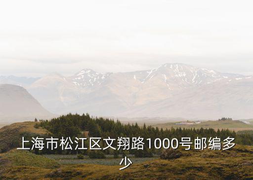 上海市松江區文翔路1000號郵編多少