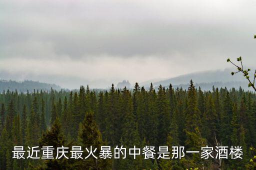 重慶市中餐好，重慶那家中餐好吃啊