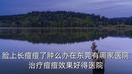 臉上長痘痘了腫么辦在東莞有哪家醫院治療痘痘效果好得醫院