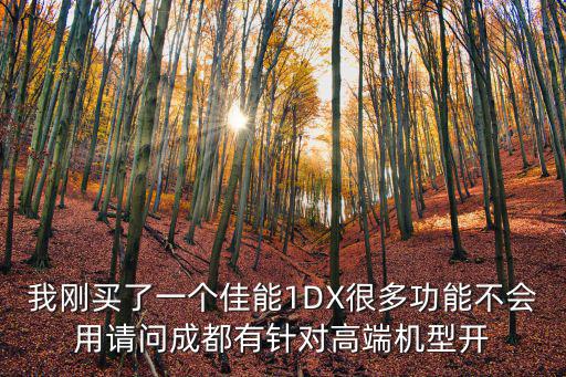 我剛買了一個佳能1DX很多功能不會用請問成都有針對高端機型開