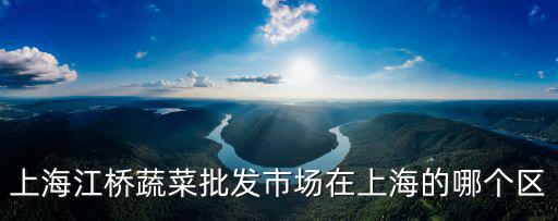 上海江橋蔬菜批發市場在上海的哪個區