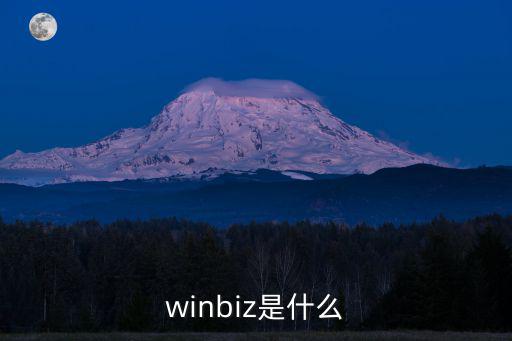 winbiz是什么