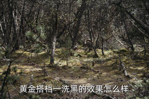 黃金搭檔一洗黑的效果怎么樣