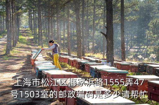 上海市松江區梅家浜路1555弄47號1503室的郵政編碼是多少請幫忙