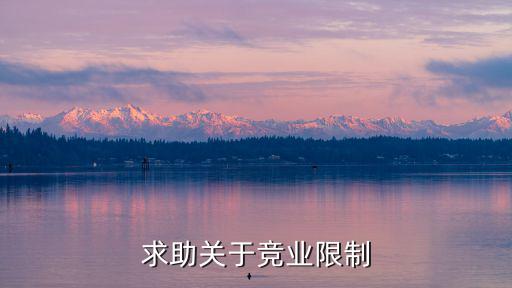 求助關(guān)于競業(yè)限制