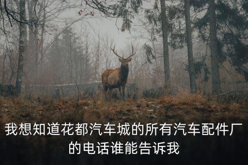 我想知道花都汽車城的所有汽車配件廠的電話誰能告訴我