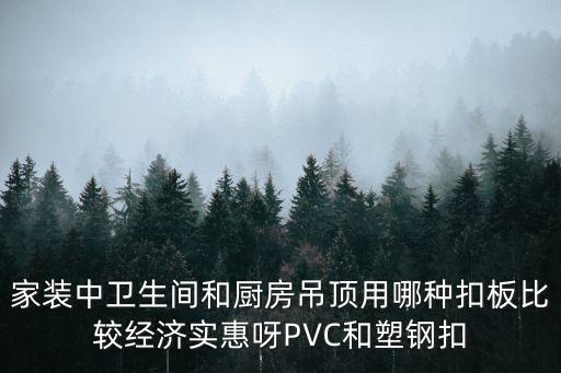 家裝中衛(wèi)生間和廚房吊頂用哪種扣板比較經(jīng)濟(jì)實(shí)惠呀PVC和塑鋼扣