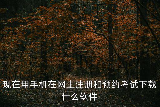 現(xiàn)在用手機(jī)在網(wǎng)上注冊(cè)和預(yù)約考試下載什么軟件