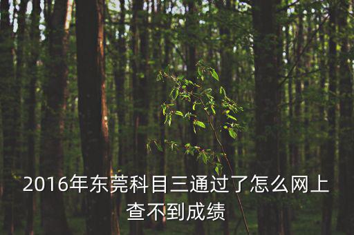 東莞交警科目三考試視頻，請問你后面怎么解決的我也是快考科目三了練了一下私家車被交警
