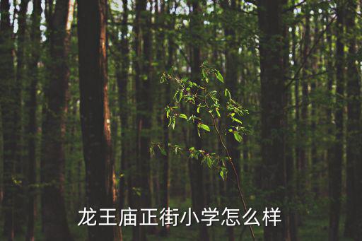 成都市龍王廟正街小學是，成都成華區建設北路三段有哪幾個小學知道的請說一下我想讓我妹