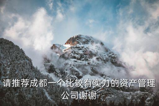請推薦成都一個比較有實力的資產管理公司謝謝