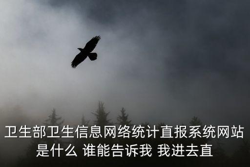上海市衛生統計網絡直報系統，怎么進去衛生部網絡直報系統