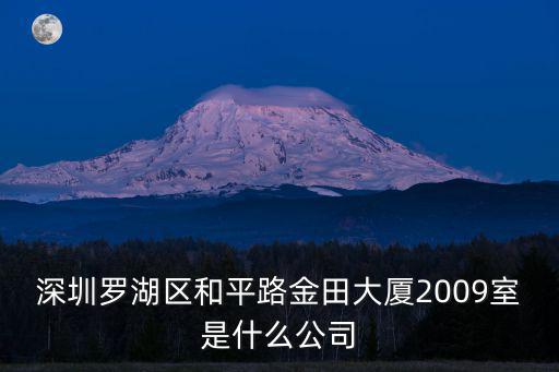 深圳羅湖區和平路金田大廈2009室是什么公司