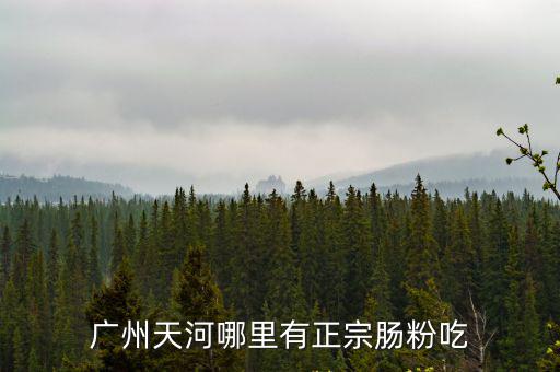廣州哪里腸粉好吃，廣州哪間銀記的腸粉最好吃