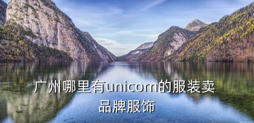 廣州迪飛服飾，廣州哪里有稱斤衣服批發
