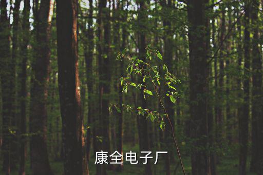 深圳域全科技有限公司，玩轉深圳手機客戶端的公司名稱叫什么