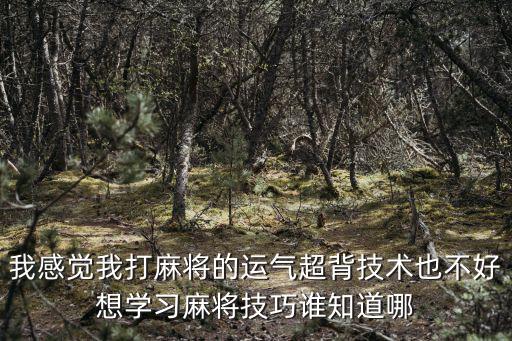 我感覺我打麻將的運氣超背技術也不好想學習麻將技巧誰知道哪
