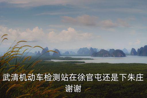 武清機動車檢測站在徐官屯還是下朱莊謝謝