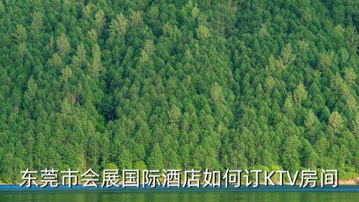 東莞市會(huì)展國際酒店如何訂KTV房間