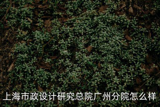 上海市政院廣州分院，廣州什么醫(yī)院割雙眼皮最專業(yè)