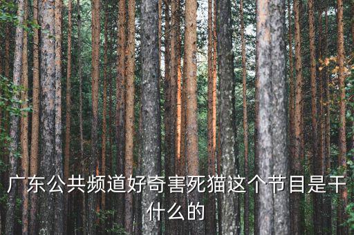 廣東公共頻道好奇害死貓這個節(jié)目是干什么的