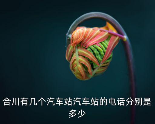 重慶市合川區電力公司電話，重慶 電力公司 聯系方式