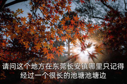 請問這個地方在東莞長安鎮(zhèn)哪里只記得經(jīng)過一個很長的池塘池塘邊