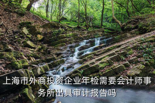 上海市外商投資企業年檢需要會計師事務所出具審計報告嗎